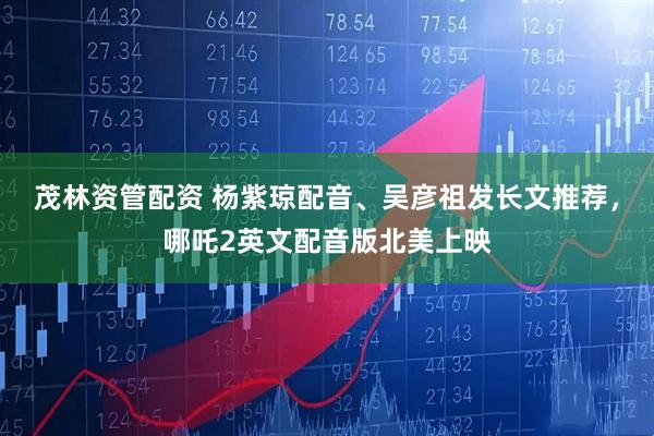 茂林资管配资 杨紫琼配音、吴彦祖发长文推荐，哪吒2英文配音版北美上映