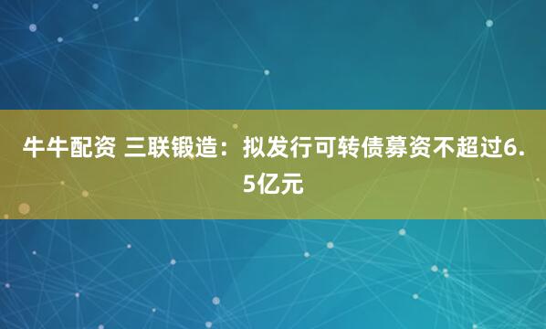 牛牛配资 三联锻造：拟发行可转债募资不超过6.5亿元
