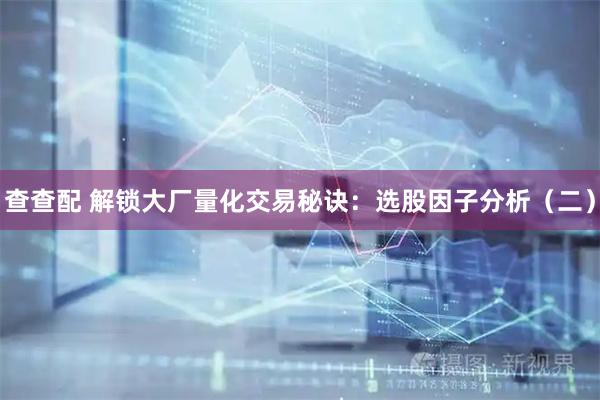 查查配 解锁大厂量化交易秘诀：选股因子分析（二）