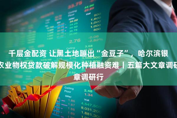 千层金配资 让黑土地蹦出“金豆子”，哈尔滨银行农业物权贷款破解规模化种植融资难丨五篇大文章调研行
