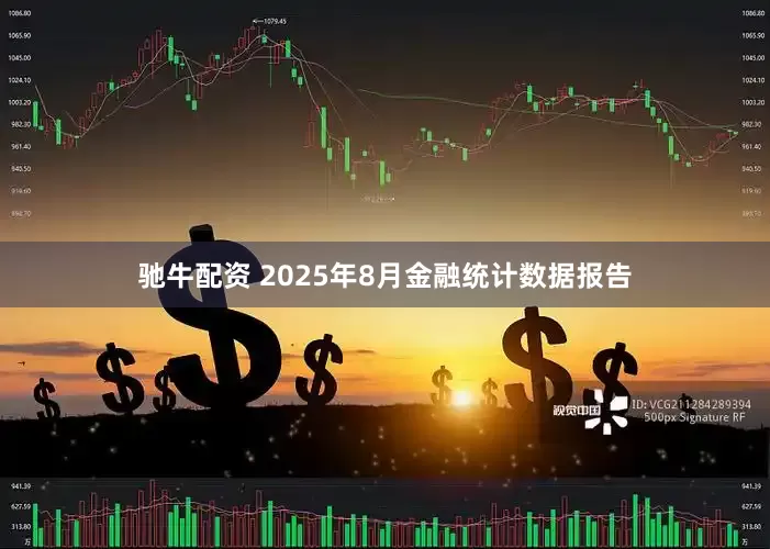 驰牛配资 2025年8月金融统计数据报告